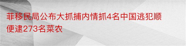 菲移民局公布大抓捕内情抓4名中国逃犯顺便逮273名菜农