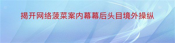 揭开网络菠菜案内幕幕后头目境外操纵