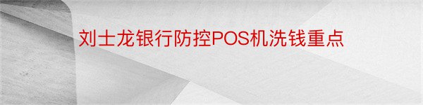 刘士龙银行防控POS机洗钱重点